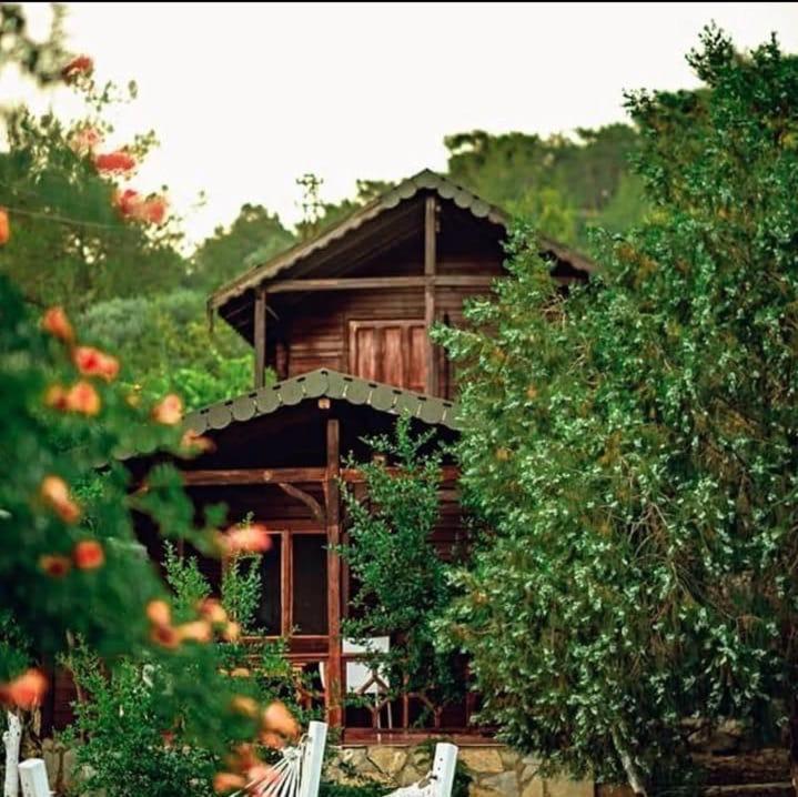 Olympos Talara By Arzum Kumluca Exterior foto