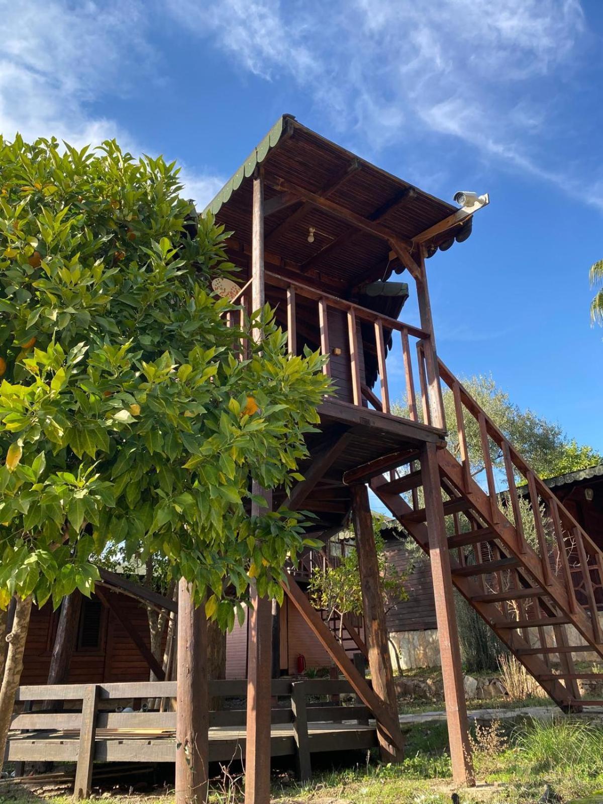 Olympos Talara By Arzum Kumluca Exterior foto