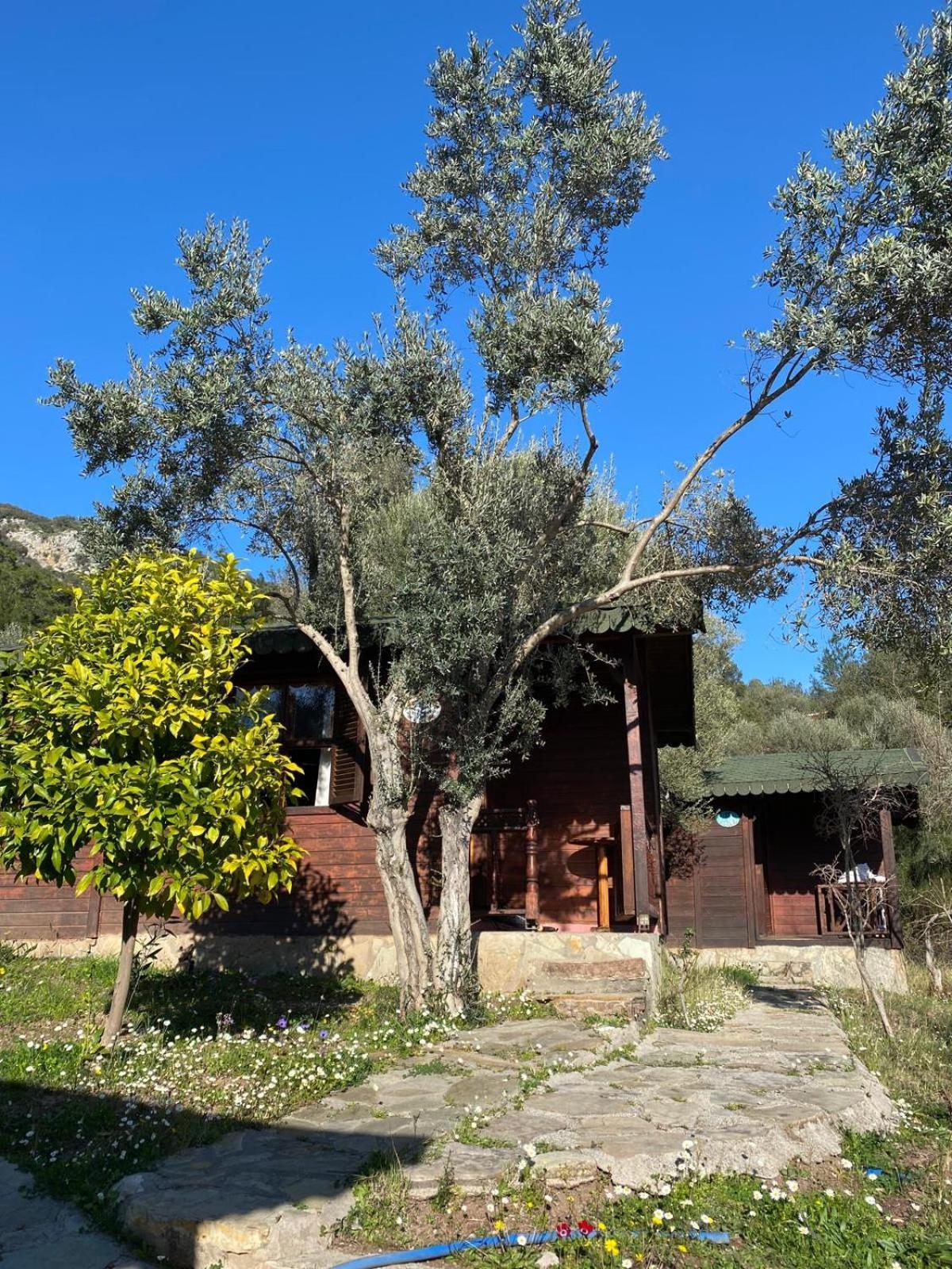 Olympos Talara By Arzum Kumluca Exterior foto